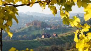La strada del Cesanese di Olevano Romano La strada del Cesanese di Olevano Romano