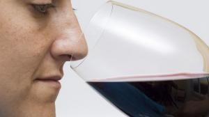 tannini nel vino tannini nel vino