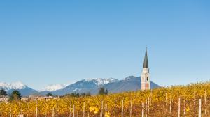 turismo enogastronomico pedemontana vicentina