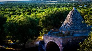 Il pugliese Olio Karpena riconosciuto presidio Slow Food