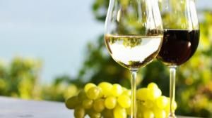 calici-di-stelle-2018-Sardegna