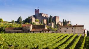 In Veneto possono essere individuate otto zone vinicole Castello di Soave con vigneti