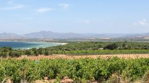 Sardegna fra vigneti, mare e Nuraghi