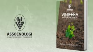 Vinifera ripartiamo dalle radici