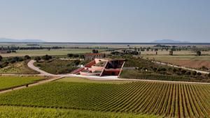 Vinificazione per gravità una nuova sfida nel cuore della maremma