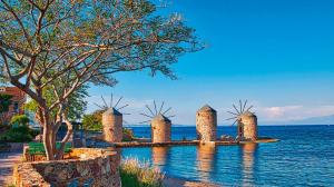 Vino di Chio storia di una contraffazione