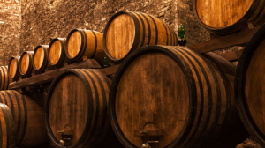 Previsioni per la vendemmi 2020 in Toscana Previsioni per la vendemmi 2020 in Toscana