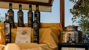 Wardagarda 2018 Wardagarda 2018