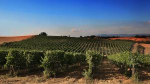 weekend per cantine in Toscana