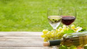 Vini del Sannio: Aglianico del Taburno e Falanghina