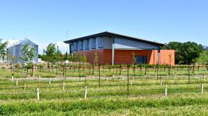 Cantina Jess Jackson enologia sostenibile