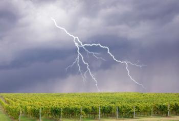 tempesta sul vitigno