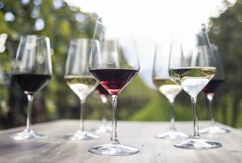Vendemmia 2021 Alto Adige