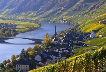 Alla scoperta del Rheingau e della Mosella, patria del Riesling