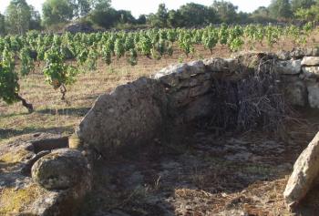 Sos lacos de catzigare: i palmenti rupestri della Sardegna centrale