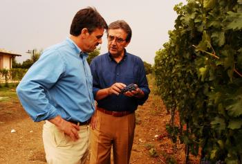 eventi enologo e vino 