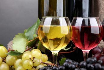 calici-di-stelle-2018-Umbria