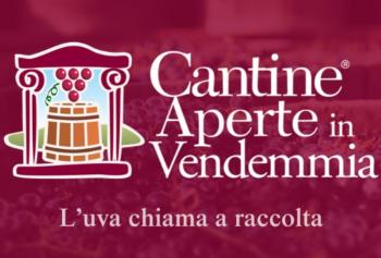 Cantine Aperte in Vendemmia 2024