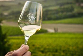 Persona che beve un calice di vino all'aperto