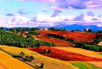 Verdicchio di Matelica