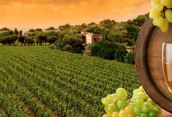 Enogastronomia sulle strade del Taurasi