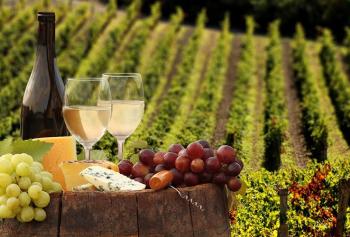 Enoturismo in Italia, ecco i dati del 2016