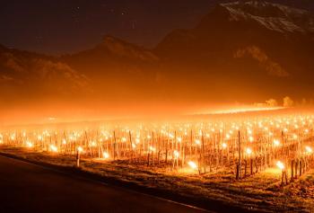 Falò per salvare i vigneti dalle gelate di aprile