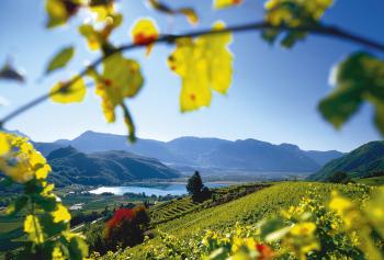 Accoglienza in Alto Adige