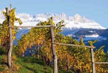 Lagrein Alto Adige