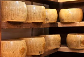 forme di Parmigiano Reggiano Dop 