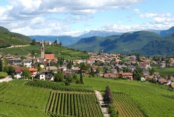 vino Lagrein