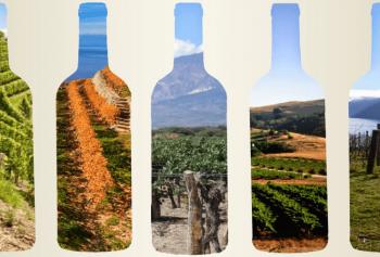 Il significato di terroir