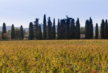 Feudi di San Gregorio a Bolghero