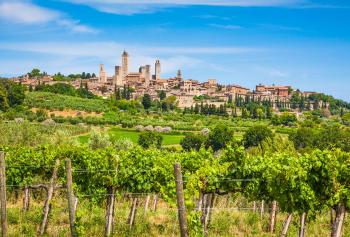 Vernaccia di San Gimignano