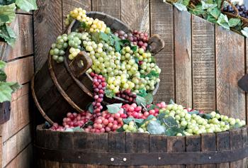 Uva pronta per la vendemmia