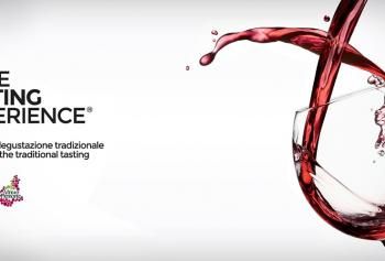 Wine Tasting Experience nelle Langhe