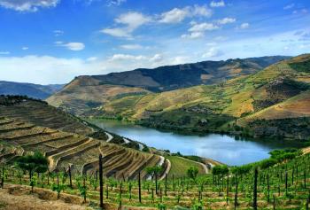 Alla scoperta del vino in Portogallo