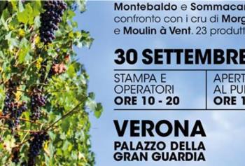 Bardolino Cru