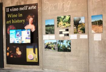 Bolgheri: alla scoperta del museo del vino di guado al melo