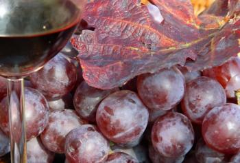 Calici di Stelle 2018 in Trentino Alto Adige