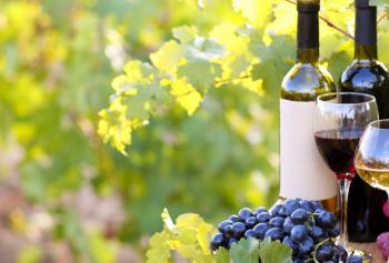 Cantine Aperte 2019 in Umbria