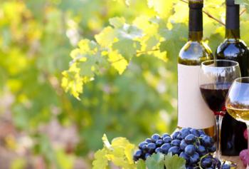 Cantine Aperte 2019 Campania