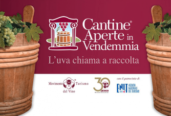 Cantine Aperte in Vendemmia 2023 in Piemonte