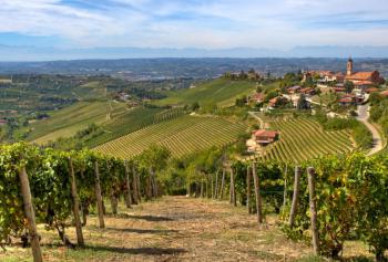 Cantine Aperte in Vendemmia 2018 in Campania