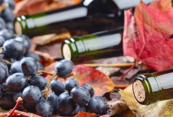 Cantine Aperte in Vendemmia 2019 puglia