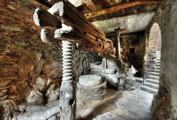 Tecniche per la produzione di olio