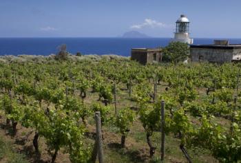 conosci la Malvasia delle Lipari?