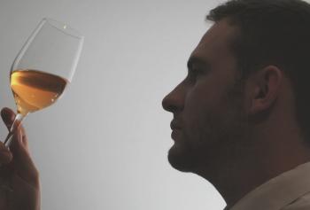 I miei consigli ai giovani enologi