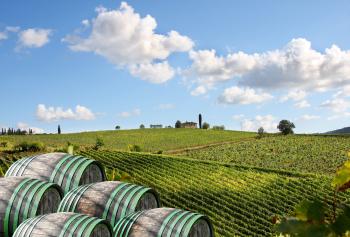 consorzio del vino chianti minore produzione per una maggiore qualità