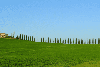 I vini lungo la Via Francigena